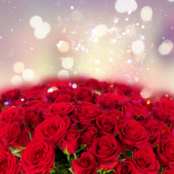 Similar image 13088261