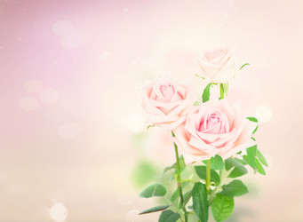 Similar image 13088283