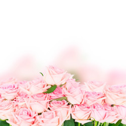 Similar image 13088284