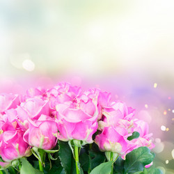 Similar image 13088300