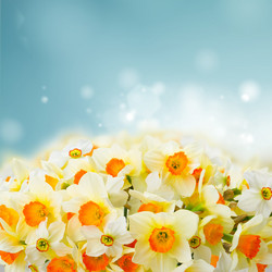 Similar image 13088406