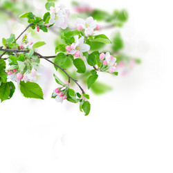 Similar image 13088425