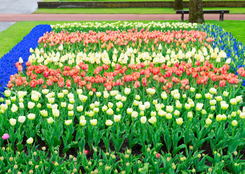 Similar image 13088465