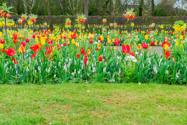 Similar image 13088466