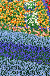 Similar image 13088480