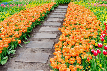 Similar image 13088481