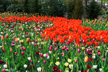 Similar image 13088564