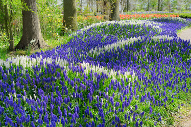 Similar image 13088624