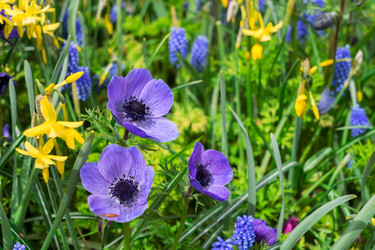 Similar image 13088625