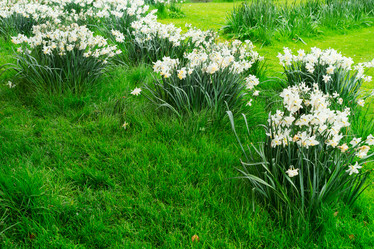 Similar image 13088701