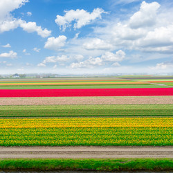 Similar image 13088721