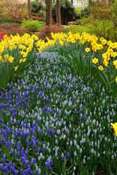 Similar image 13088799