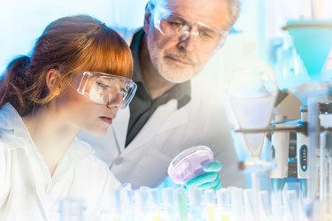 Similar image 13107855