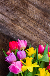 Similar image 13088605