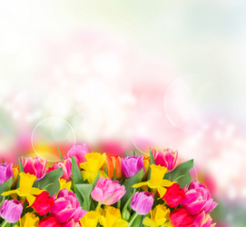 Similar image 13088656