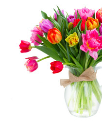 Similar image 13088680