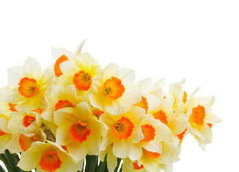 Similar image 13088784