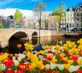 Similar image 13088482