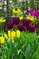 Similar image 13088164