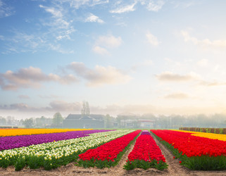 Similar image 13088385