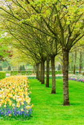 Similar image 13088448