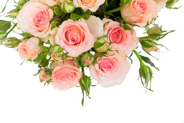 Similar image 13088082