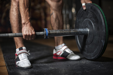 Similar image 13077920