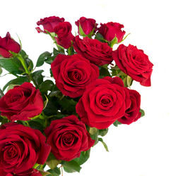 Similar image 13088565