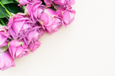 Similar image 13088062