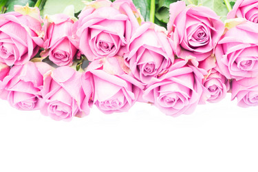 Similar image 13088262