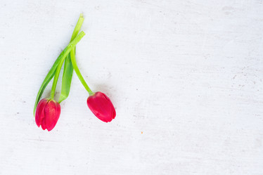 Similar image 13088426