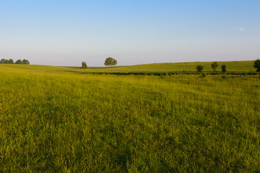 Similar image 13085698