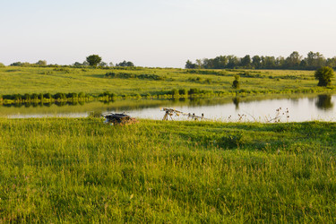 Similar image 13085721