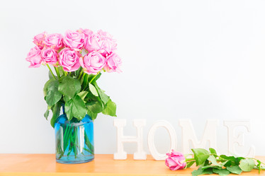 Similar image 13088020