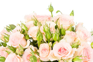 Similar image 13088021