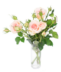 Similar image 13088040