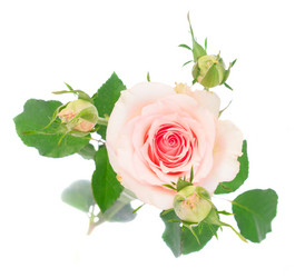 Similar image 13088063