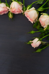 Similar image 13088744