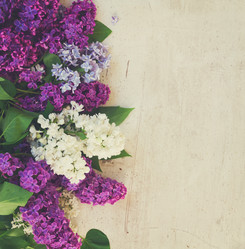 Similar image 13088041