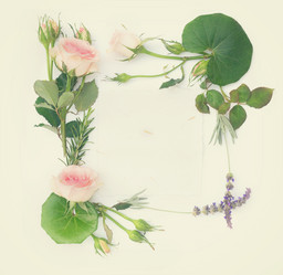 Similar image 13088202