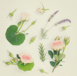 Similar image 13088224