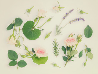 Similar image 13088244