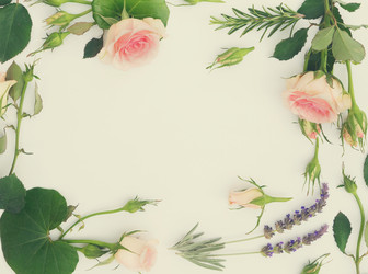 Similar image 13088245