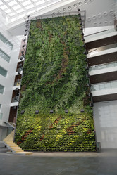 Similar image 13070883