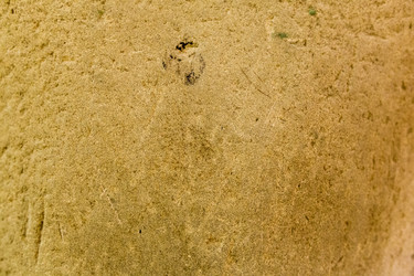 Similar image 13070910