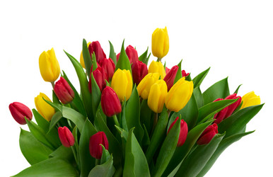 Similar image 13088546