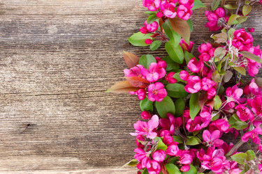 Similar image 13088528