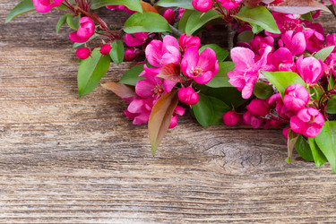 Similar image 13088547