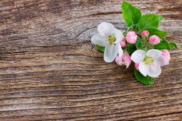 Similar image 13088566