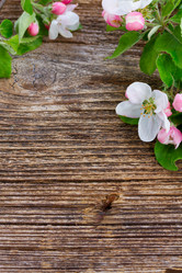 Similar image 13088567